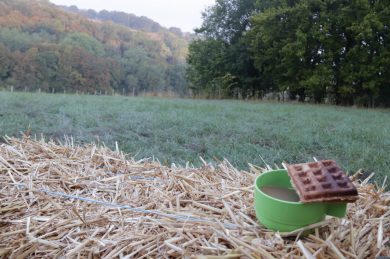 Alors Alexandre, et demain ?