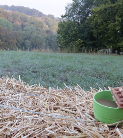 Alors Alexandre, et demain ?