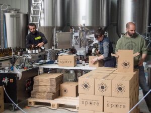 La St Patrick à Evreux, c&rsquo;est Spore