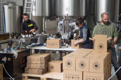 La St Patrick à Evreux, c’est Spore