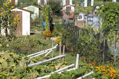 Tu jardines, je jardine, nous jardinons …