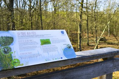 Allez viens on se met au vert !