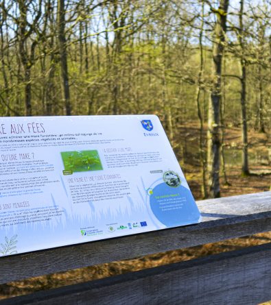 Sentier des mares du massif forestier de la Madeleine