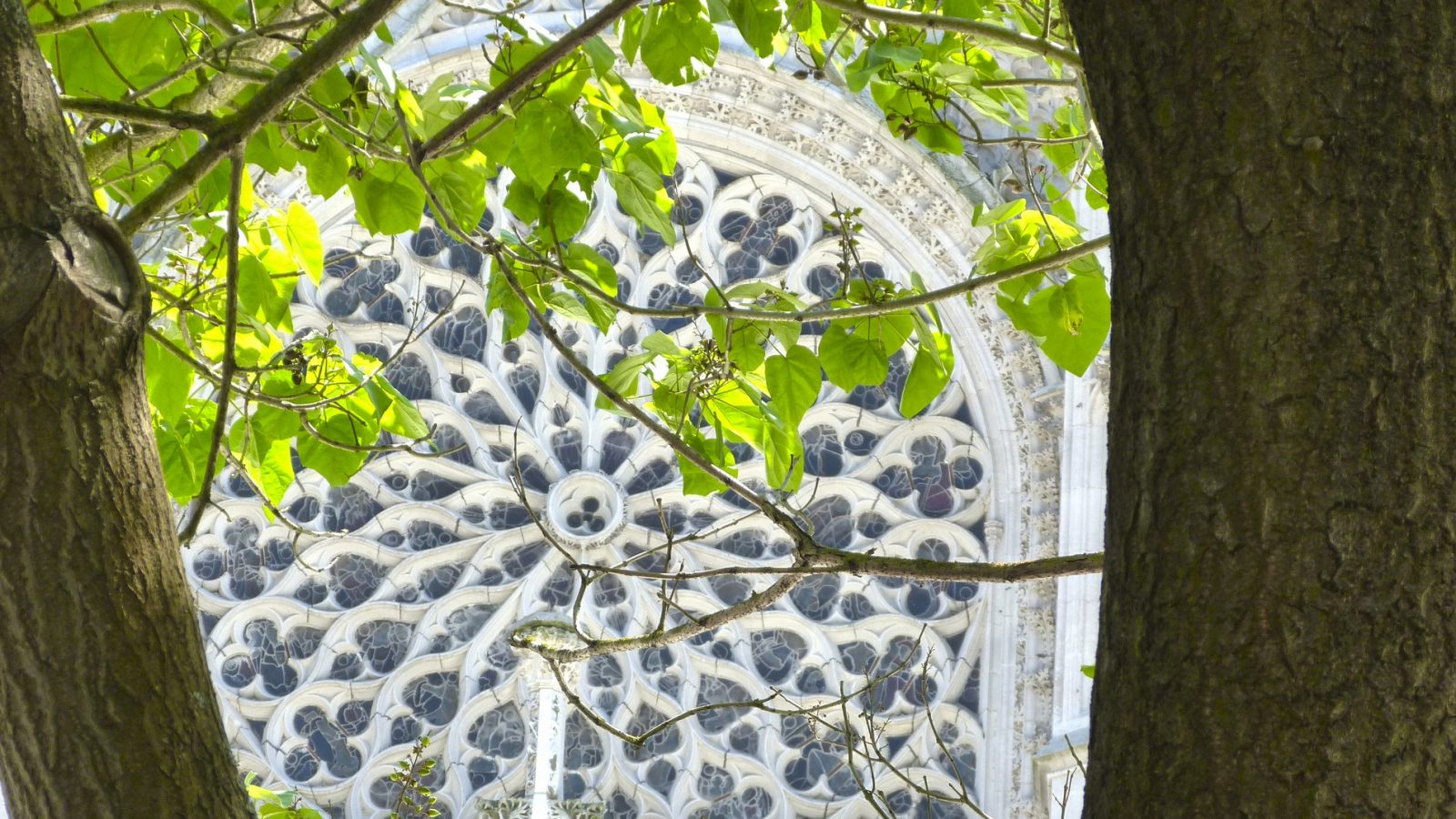 cathedrale evreux rosace nord
