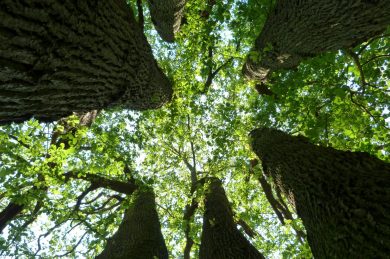 Et oui, un autre tourisme est possible !