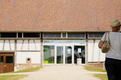 Top 5 des idées pour un bel été