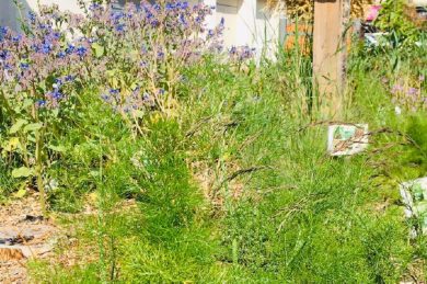 Lumières sur la nature et le patrimoine