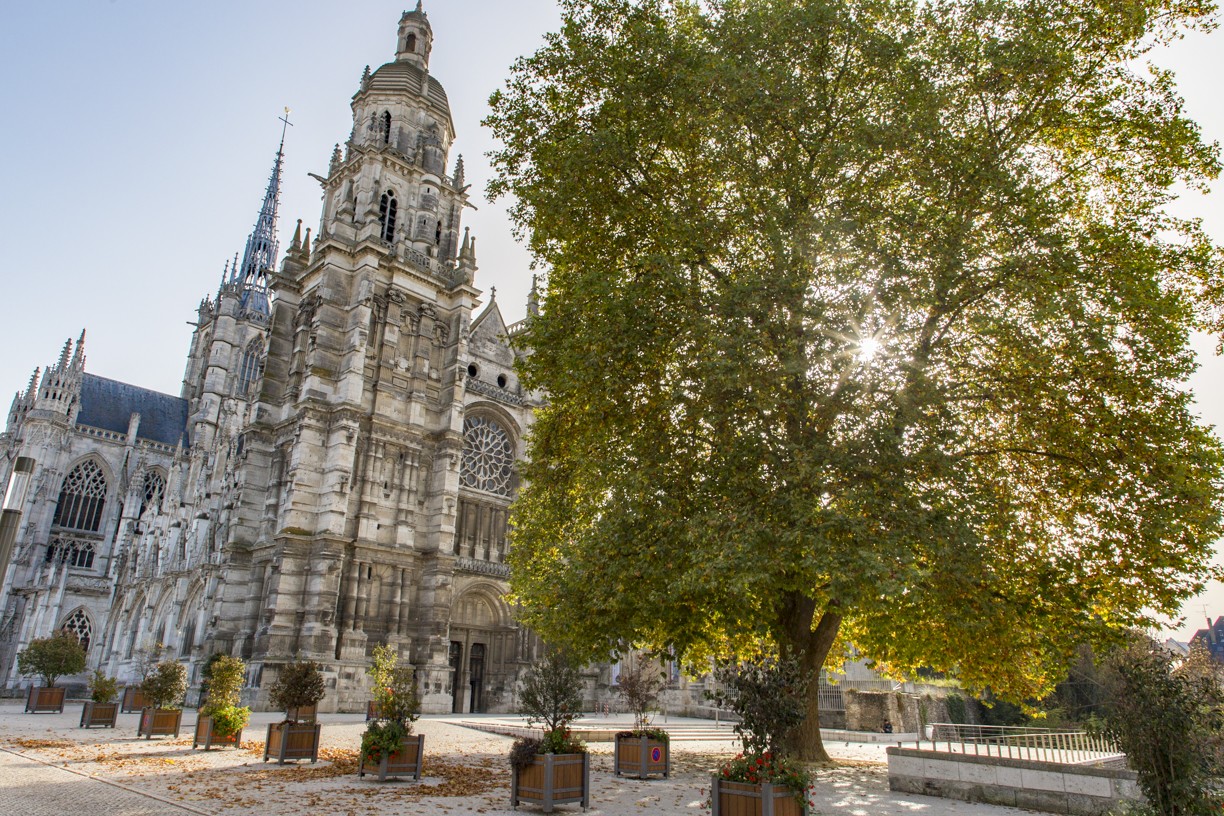 arbres remarquables evreux