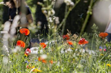C’est l’été, place à la randonnée