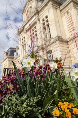 Evreux et ses fleurs