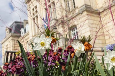 Evreux et ses fleurs