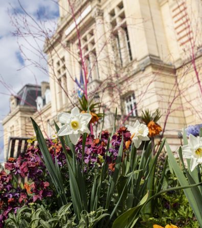 Evreux et ses fleurs