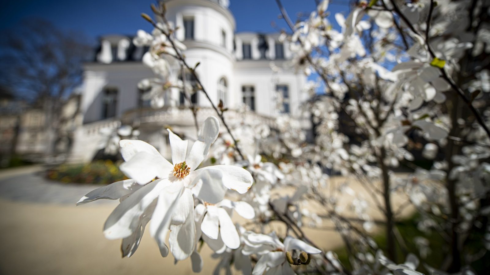 pavillon fleuri evreux