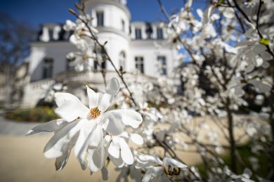 Evreux, ville d’Art et d’Histoire