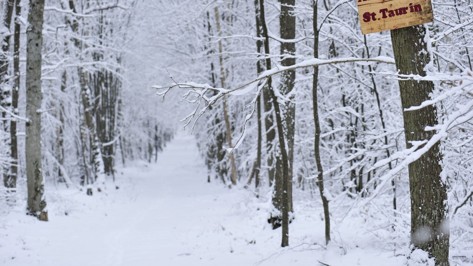 foret evreux ©S Vuillemin EPN