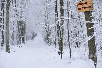 Les 10 bonnes idées de l’Hiver