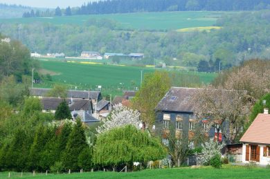 Z’ai vu … l’Usine à Zabu !