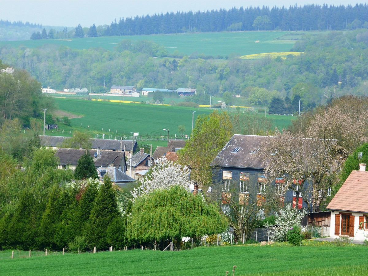 Usine a zabu St germain des angles