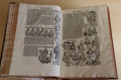 Evreux, son fonds ancien, ses incunables & Maeva