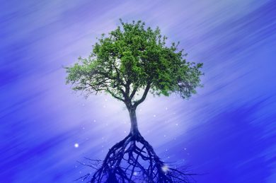 Les AnthropoScènes, kesako ?