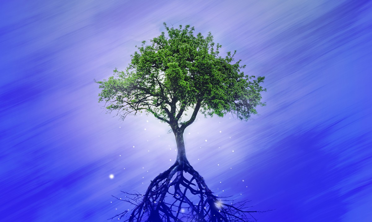 festival anthroposcenes evreux