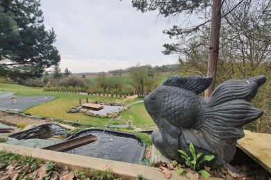 A l’Est du nouveau !