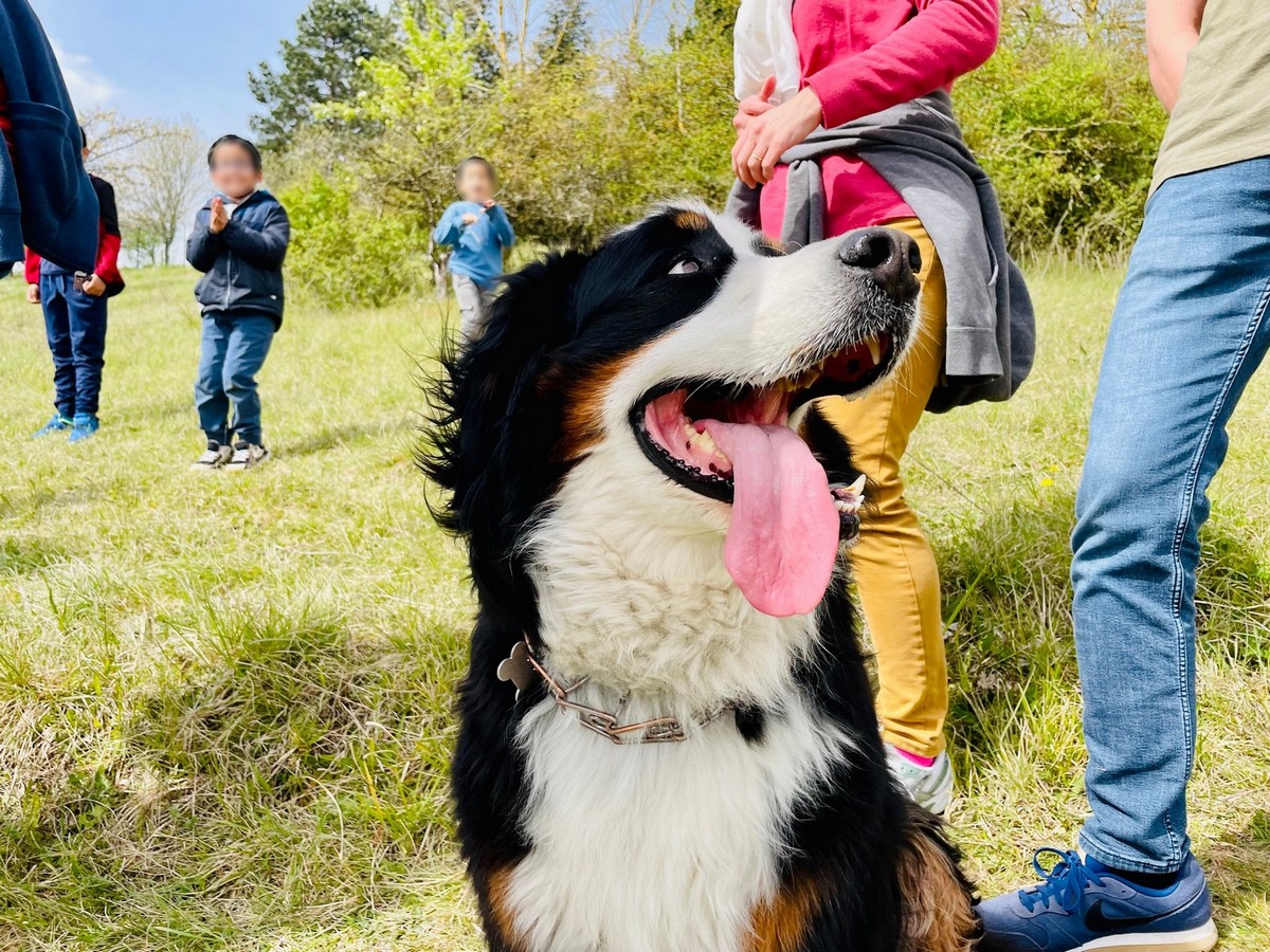 travaux habitants St Michel Archives ©Evreux