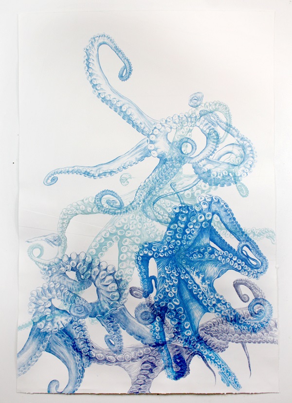 Pieuvre-bleu MDA Evreux©Camille Pozzo di Borgo