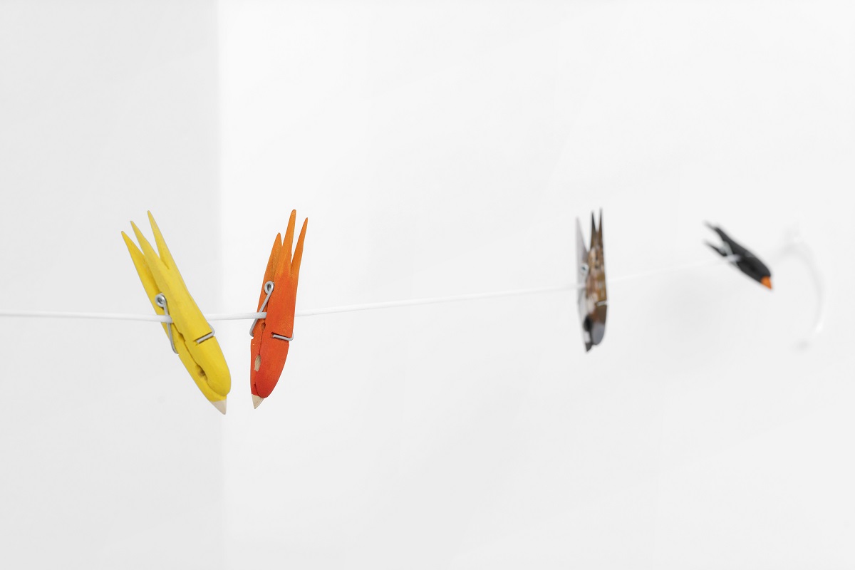 surunfil MDA Evreux©Sebastien Gouju