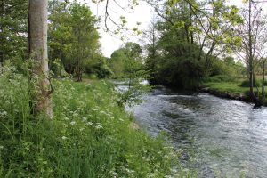 Circuit de la Maladrerie