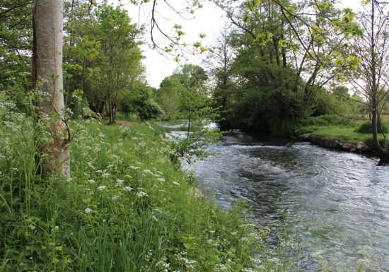 Circuit de la Maladrerie