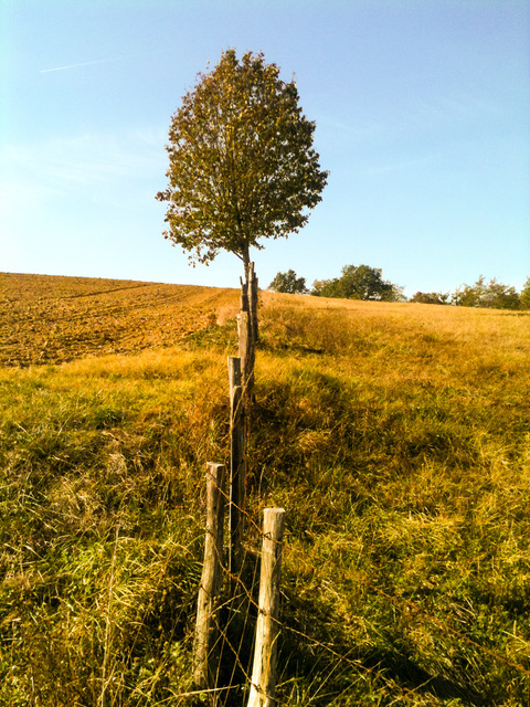chemins de st jacques ©Pierre de st loup (1)