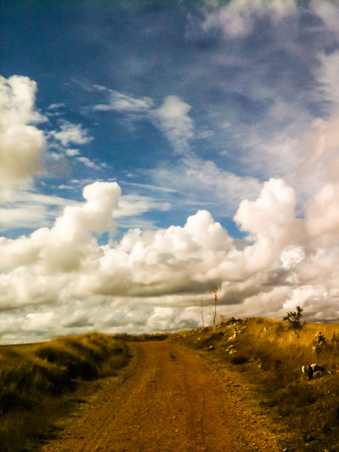 chemins de st jacques ©Pierre de st loup (1)