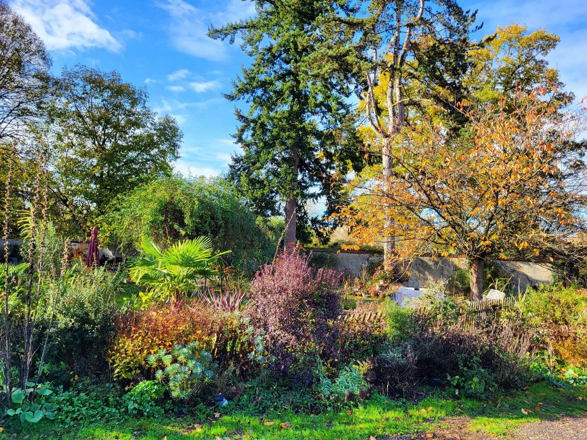 jardin bis©R Dacquin