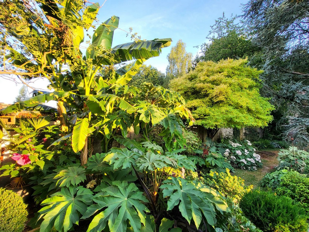 jardin ter©R Dacquin