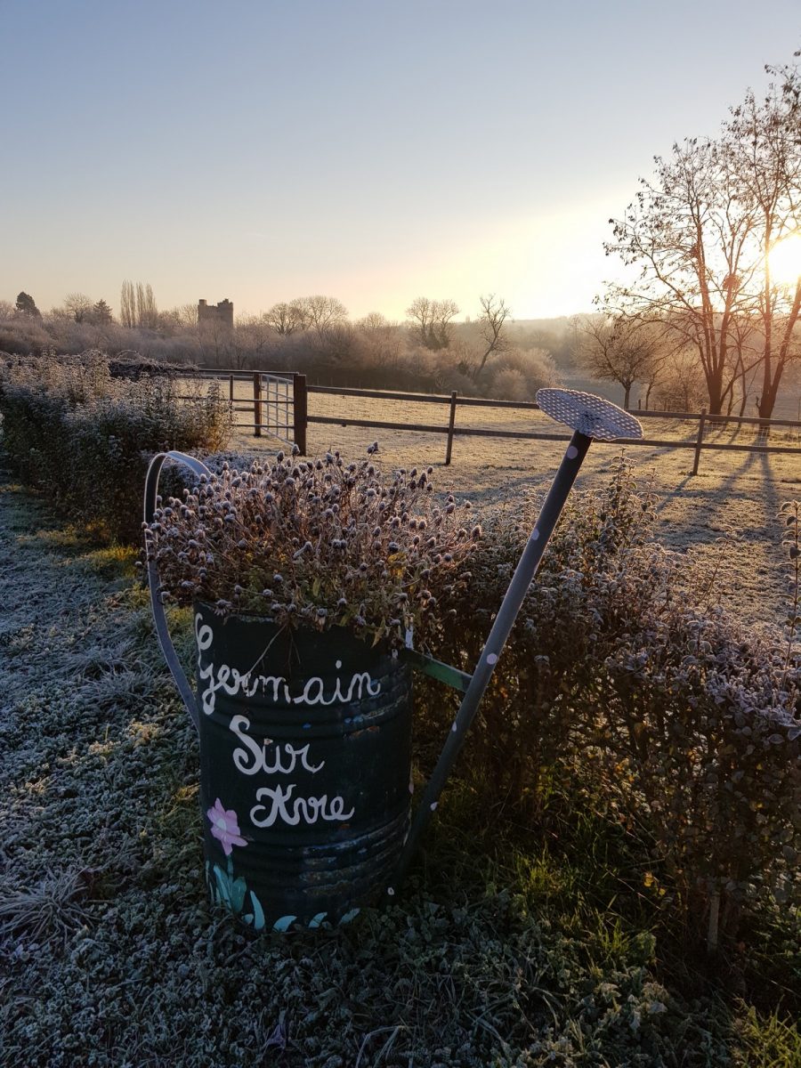 vue donjon©M Savoye