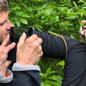 Alexandre, les chouettes et le faucon