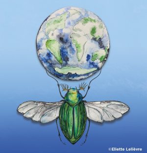 Les Anthroposcènes Evreux Acte 2 – des insectes et des hommes