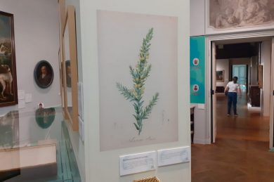 Nathan se balade – partie 2