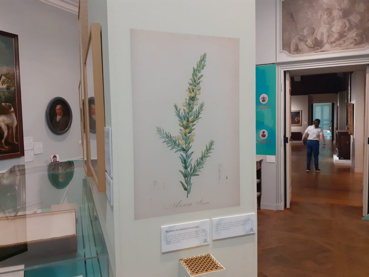 Navarre au Musée ©Nathan C