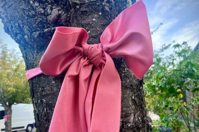 La Vie en Rose à St André de l’Eure