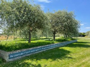 L&rsquo;été d&rsquo;ici : un pique-nique à Gisacum