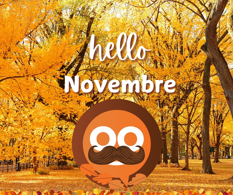 hello novembre 1