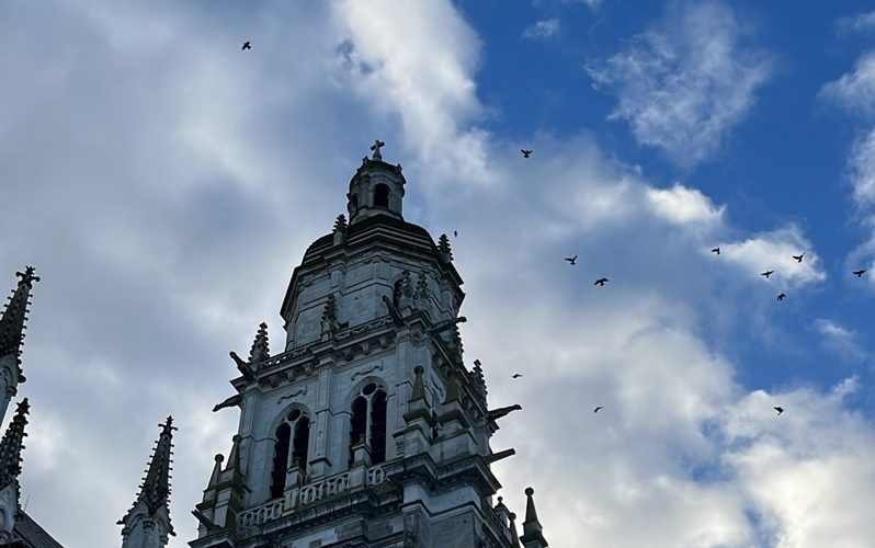 Cathédrale janvier 25©G Yon