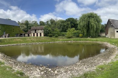 À Caugé, l’huile coule de source : rencontre à la Ferme de Morand
