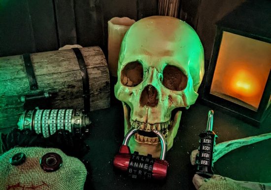 Cellules Grises Escape Game