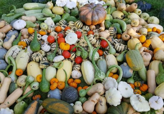 La Ferme aux Coquelicots