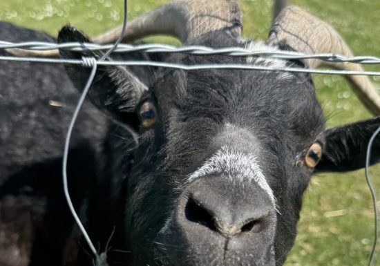 La Ferme du Bon’Eure