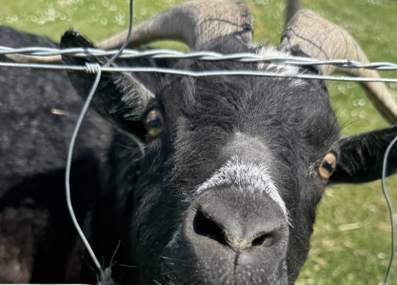 La Ferme du Bon’Eure