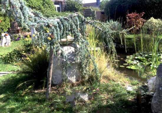 L’Eure tranquille – jardin d’artiste